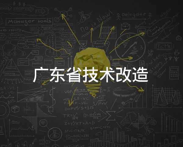 廣東省（shěng）技術改造項目