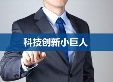 【補貼20萬元】2019年度市科技（jì）創新小巨（jù）人企業入庫開始申報啦!
