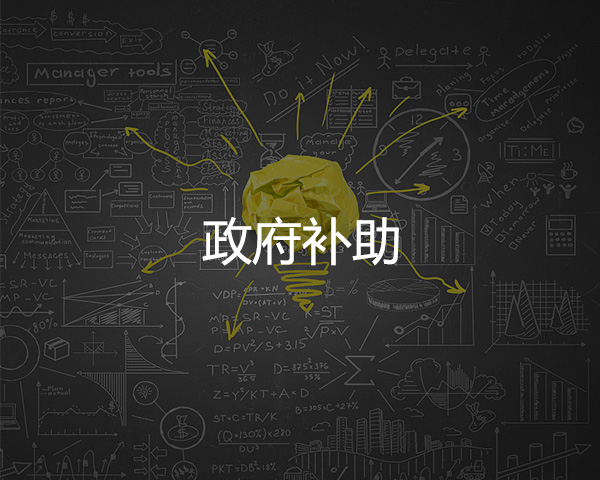政府補助（zhù）