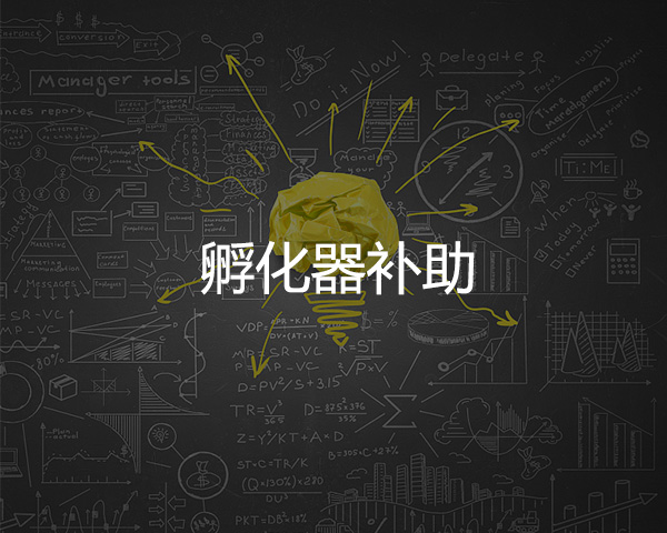 孵化器補助（zhù）