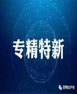 “專精特新”寫進二十（shí）大報告，傳遞出哪些信號？