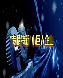 省級財政 2022 年專精特新“小巨人”企業獎補資金安排計劃的公（gōng）示