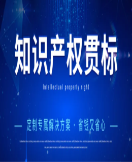 首（shǒu）次通過知識產權管理體係認（rèn）證，一次性給予10萬元獎勵！