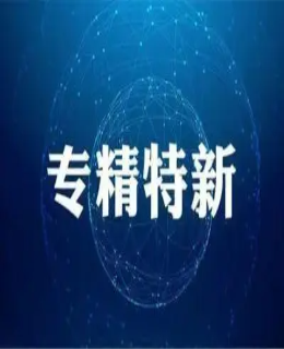 人民（mín）日（rì）報：加（jiā）快培育（yù）“專精特新”企業