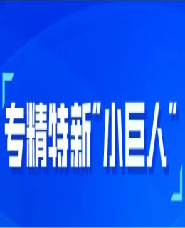 小（xiǎo）巨人城市圖譜：解鎖園區培育新思路，珠三角加速打造專精特新“小巨人”