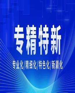 佛山市專精（jīng）特新貸款貼息 | 關於2023年省級促進經濟高質量發展專項資（zī）金（jīn）（民營（yíng）經濟及中小微（wēi）企業發展）安排計劃的公示